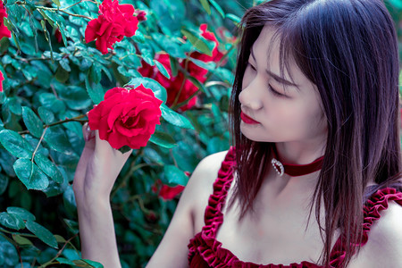 加拿大阿尔伯塔省侨界举办纪念世界反法西斯战争胜利80周年音乐会